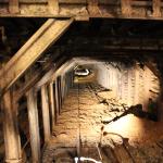 IMG_7532 (May 28, 2024)